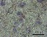  ( - O-L-228337)  @11 [ ] by-nc-sa (2021) Unspecified Norwegian Institute for Nature Research