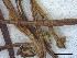  ( - O-F-258294)  @11 [ ] by-nc-sa (2021) Unspecified Norwegian Institute for Nature Research