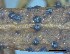  ( - O-F-258294)  @11 [ ] by-nc-sa (2021) Unspecified Norwegian Institute for Nature Research