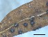  ( - O-F-258293)  @11 [ ] by-nc-sa (2021) Unspecified Norwegian Institute for Nature Research