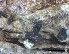  ( - O-F-258290)  @11 [ ] by-nc-sa (2021) Unspecified Norwegian Institute for Nature Research