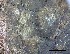  ( - O-L-228346)  @11 [ ] by-nc-sa (2021) Unspecified Norwegian Institute for Nature Research