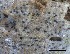  ( - O-L-228345)  @11 [ ] by-nc-sa (2021) Unspecified Norwegian Institute for Nature Research