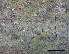  ( - O-L-228340)  @11 [ ] by-nc-sa (2021) Unspecified Norwegian Institute for Nature Research
