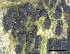  ( - O-F-258261)  @11 [ ] by-nc-sa (2021) Unspecified Norwegian Institute for Nature Research