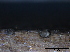  ( - O-F247790)  @11 [ ] CreativeCommons - Attribution Non-Commercial Share-Alike (2013) Teppo Rama Norwegian Institute for Nature Research (NINA)