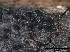  ( - O-F247791)  @11 [ ] CreativeCommons - Attribution Non-Commercial Share-Alike (2013) Teppo Rama Norwegian Institute for Nature Research (NINA)
