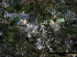  ( - O-F247804)  @11 [ ] CreativeCommons - Attribution Non-Commercial Share-Alike (2013) Teppo Rama Norwegian Institute for Nature Research (NINA)