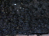  ( - O-F247819)  @11 [ ] CreativeCommons - Attribution Non-Commercial Share-Alike (2013) Teppo Rama Norwegian Institute for Nature Research (NINA)