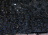 ( - O-F247819)  @11 [ ] CreativeCommons - Attribution Non-Commercial Share-Alike (2013) Teppo Rama Norwegian Institute for Nature Research (NINA)