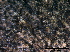  ( - O-F247847)  @11 [ ] CreativeCommons - Attribution Non-Commercial Share-Alike (2013) Teppo Rama Norwegian Institute for Nature Research (NINA)