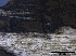  (Hypoxylon petriniae - O-F75357)  @11 [ ] CreativeCommons - Attribution Non-Commercial Share-Alike (2013) Teppo Rama Norwegian Institute for Nature Research (NINA)