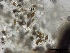  ( - O-F75362)  @11 [ ] CreativeCommons - Attribution Non-Commercial Share-Alike (2013) Teppo Rama Norwegian Institute for Nature Research (NINA)