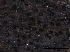  ( - O-F75407)  @11 [ ] CreativeCommons - Attribution Non-Commercial Share-Alike (2013) Teppo Rama Norwegian Institute for Nature Research (NINA)