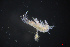  ( - QHAK-00055)  @11 [ ] CreativeCommons - Attribution Non-Commercial (2020) Hakai Institute Hakai Institute