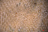  ( - QHAK-00098)  @11 [ ] CreativeCommons - Attribution Non-Commercial (2020) Hakai Institute Hakai Institute