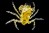  ( - ZHAK-01051)  @11 [ ] CreativeCommons Attribution Non-Commercial No Derivatives (2022) Hakai Institute Hakai Institute