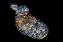  ( - ZHAK-01514)  @11 [ ] CreativeCommons Attribution Non-Commercial No Derivatives (2022) Hakai Institute Hakai Institute