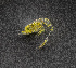 ( - ZHAK-01570)  @11 [ ] CreativeCommons Attribution Non-Commercial No Derivatives (2022) Hakai Institute Hakai Institute