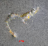  ( - ZHAK-01592)  @11 [ ] CreativeCommons Attribution Non-Commercial No Derivatives (2022) Hakai Institute Hakai Institute