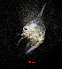  ( - ZHAK-01643)  @11 [ ] CreativeCommons Attribution Non-Commercial No Derivatives (2022) Hakai Institute Hakai Institute