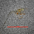  ( - ZHAK-01651)  @11 [ ] CreativeCommons Attribution Non-Commercial No Derivatives (2022) Hakai Institute Hakai Institute