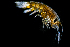  ( - ZHAK-01771)  @11 [ ] CreativeCommons Attribution Non-Commercial No Derivatives (2022) Hakai Institute Hakai Institute
