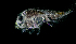  ( - ZHAK-01802)  @11 [ ] CreativeCommons Attribution Non-Commercial No Derivatives (2022) Hakai Institute Hakai Institute