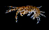  ( - ZHAK-01808)  @11 [ ] CreativeCommons Attribution Non-Commercial No Derivatives (2022) Hakai Institute Hakai Institute
