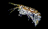  ( - ZHAK-01816)  @11 [ ] CreativeCommons Attribution Non-Commercial No Derivatives (2022) Hakai Institute Hakai Institute
