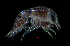  ( - ZHAK-01833)  @11 [ ] CreativeCommons Attribution Non-Commercial No Derivatives (2022) Hakai Institute Hakai Institute