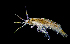  ( - ZHAK-01850)  @11 [ ] CreativeCommons Attribution Non-Commercial No Derivatives (2022) Hakai Institute Hakai Institute