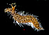  ( - ZHAK-01863)  @11 [ ] CreativeCommons Attribution Non-Commercial No Derivatives (2022) Hakai Institute Hakai Institute