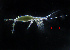  ( - ZHAK-02007)  @11 [ ] CreativeCommons Attribution Non-Commercial No Derivatives (2022) Hakai Institute Hakai Institute