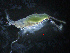  ( - ZHAK-02009)  @11 [ ] CreativeCommons Attribution Non-Commercial No Derivatives (2022) Hakai Institute Hakai Institute