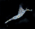  ( - ZHAK-02018)  @11 [ ] CreativeCommons Attribution Non-Commercial No Derivatives (2022) Hakai Institute Hakai Institute