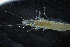  ( - ZHAK-03288)  @11 [ ] CreativeCommons Attribution Non-Commercial No Derivatives (2023) Hakai Institute Hakai Institute