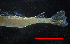  ( - ZHAK-03288)  @11 [ ] CreativeCommons Attribution Non-Commercial No Derivatives (2023) Hakai Institute Hakai Institute