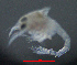  ( - ZHAK-03291)  @11 [ ] CreativeCommons Attribution Non-Commercial No Derivatives (2023) Hakai Institute Hakai Institute