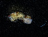  ( - ZHAK-03354)  @11 [ ] CreativeCommons Attribution Non-Commercial No Derivatives (2023) Hakai Institute Hakai Institute