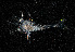  ( - ZHAK-03791)  @11 [ ] CreativeCommons Attribution Non-Commercial No Derivatives (2023) Hakai Institute Hakai Institute