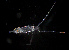  ( - ZHAK-03853)  @11 [ ] CreativeCommons Attribution Non-Commercial No Derivatives (2023) Hakai Institute Hakai Institute