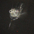  ( - ZHAK-03871)  @11 [ ] CreativeCommons Attribution Non-Commercial No Derivatives (2023) Hakai Institute Hakai Institute