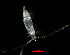  ( - ZHAK-03878)  @11 [ ] CreativeCommons Attribution Non-Commercial No Derivatives (2023) Hakai Institute Hakai Institute