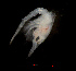  ( - ZHAK-03908)  @11 [ ] CreativeCommons Attribution Non-Commercial No Derivatives (2023) Hakai Institute Hakai Institute