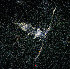  ( - ZHAK-03938)  @11 [ ] CreativeCommons Attribution Non-Commercial No Derivatives (2023) Hakai Institute Hakai Institute
