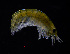  ( - ZHAK-03955)  @11 [ ] CreativeCommons Attribution Non-Commercial No Derivatives (2023) Hakai Institute Hakai Institute