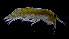  ( - ZHAK-03956)  @11 [ ] CreativeCommons Attribution Non-Commercial No Derivatives (2023) Hakai Institute Hakai Institute