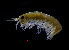  ( - ZHAK-03958)  @11 [ ] CreativeCommons Attribution Non-Commercial No Derivatives (2023) Hakai Institute Hakai Institute