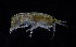  ( - ZHAK-03974)  @11 [ ] CreativeCommons Attribution Non-Commercial No Derivatives (2023) Hakai Institute Hakai Institute